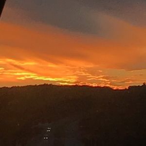 Meet your Posher, Katya